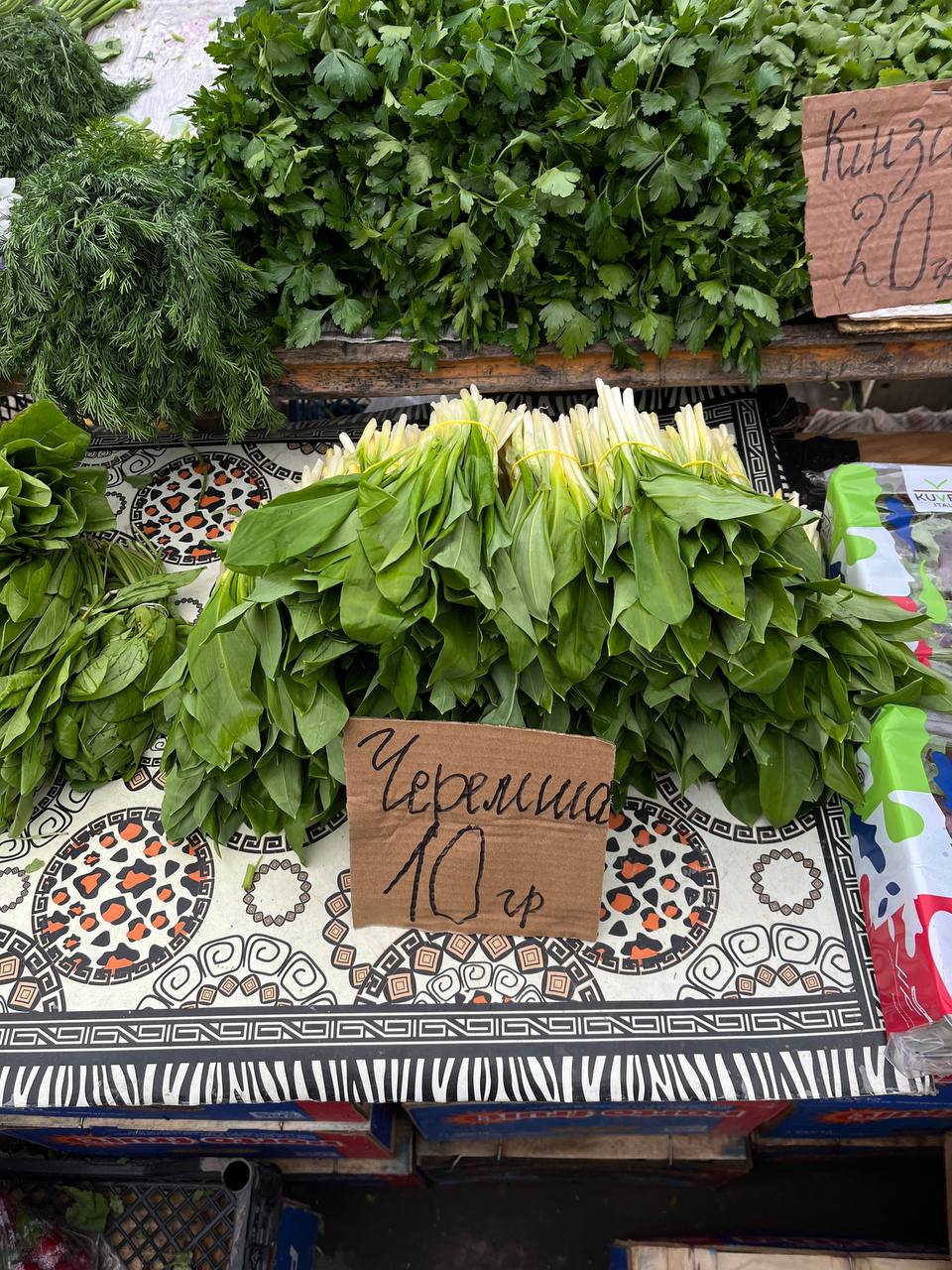 Новини Тернополя - фото з У Тернополі продають червонокнижну черемшу: розповідаємо про ціни та штрафи