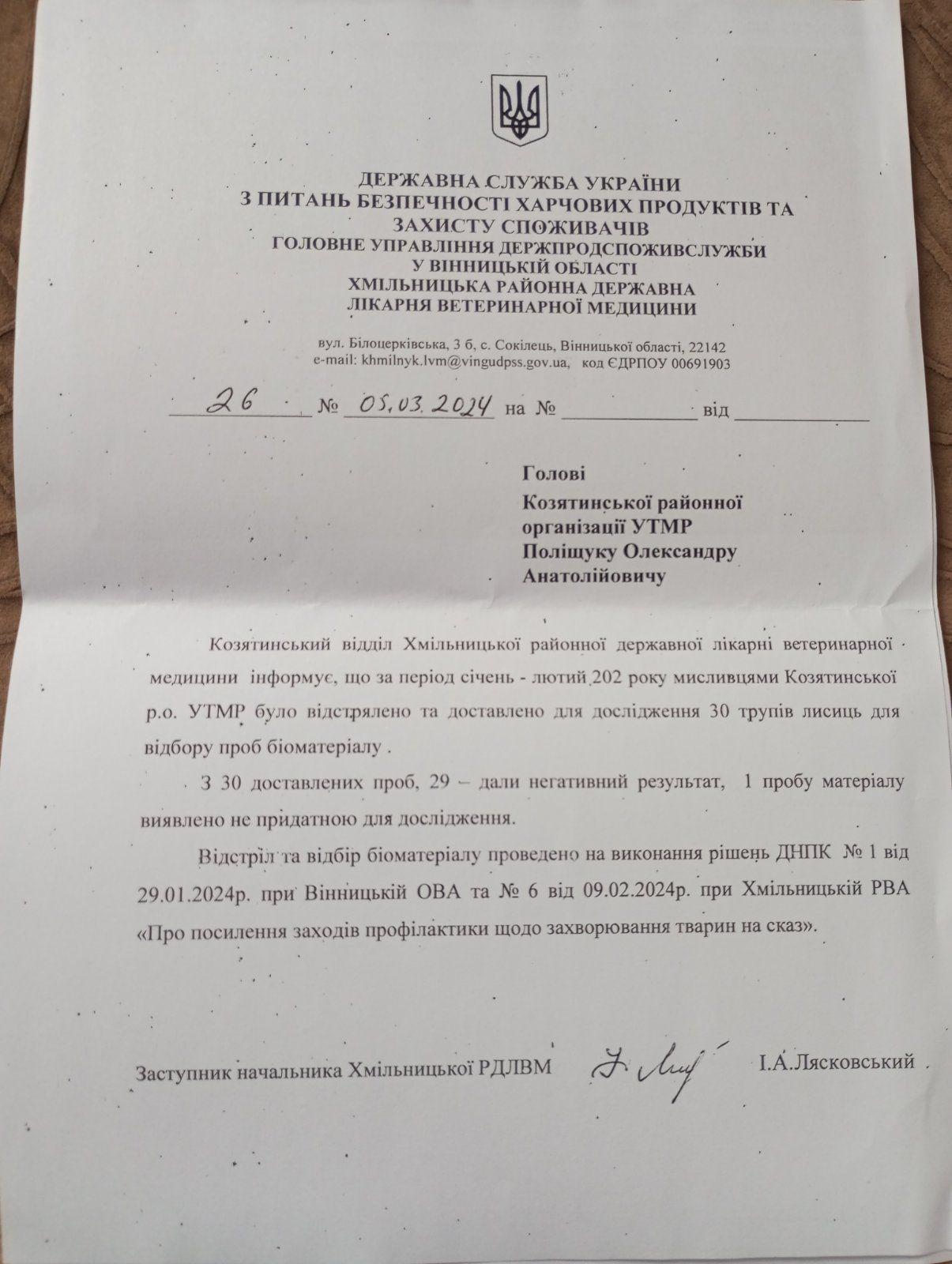 Новини Козятина - фото з Відстріляли 30 лисів — жодна тварина не була хвора на сказ