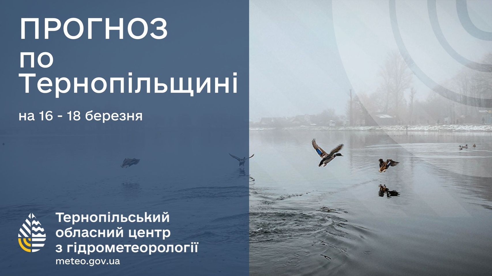 На зображенні може бути: 1 особа та текст