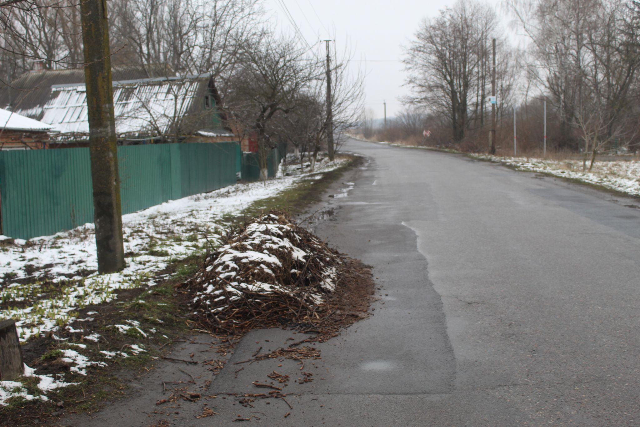 Новини Козятина - фото з Скинуте на дорогу гніздо не забирають, а від нього йде сморід