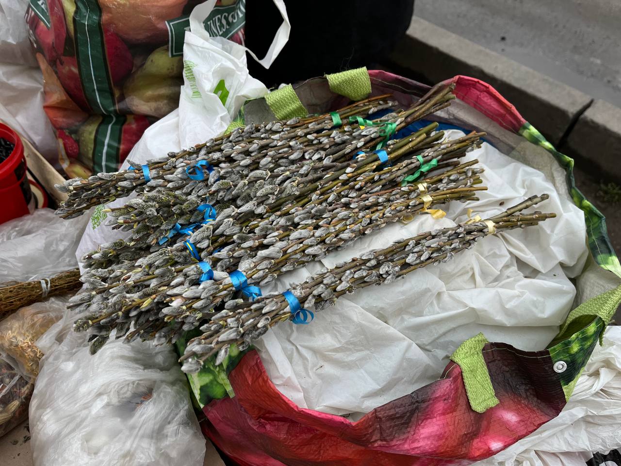 Новини Тернополя - фото з У Тернополі продають перші вербові котики: де придбати та скільки коштують