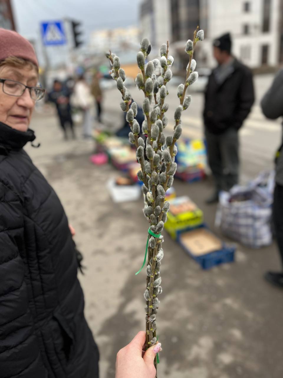 Новини Тернополя - фото з У Тернополі продають перші вербові котики: де придбати та скільки коштують