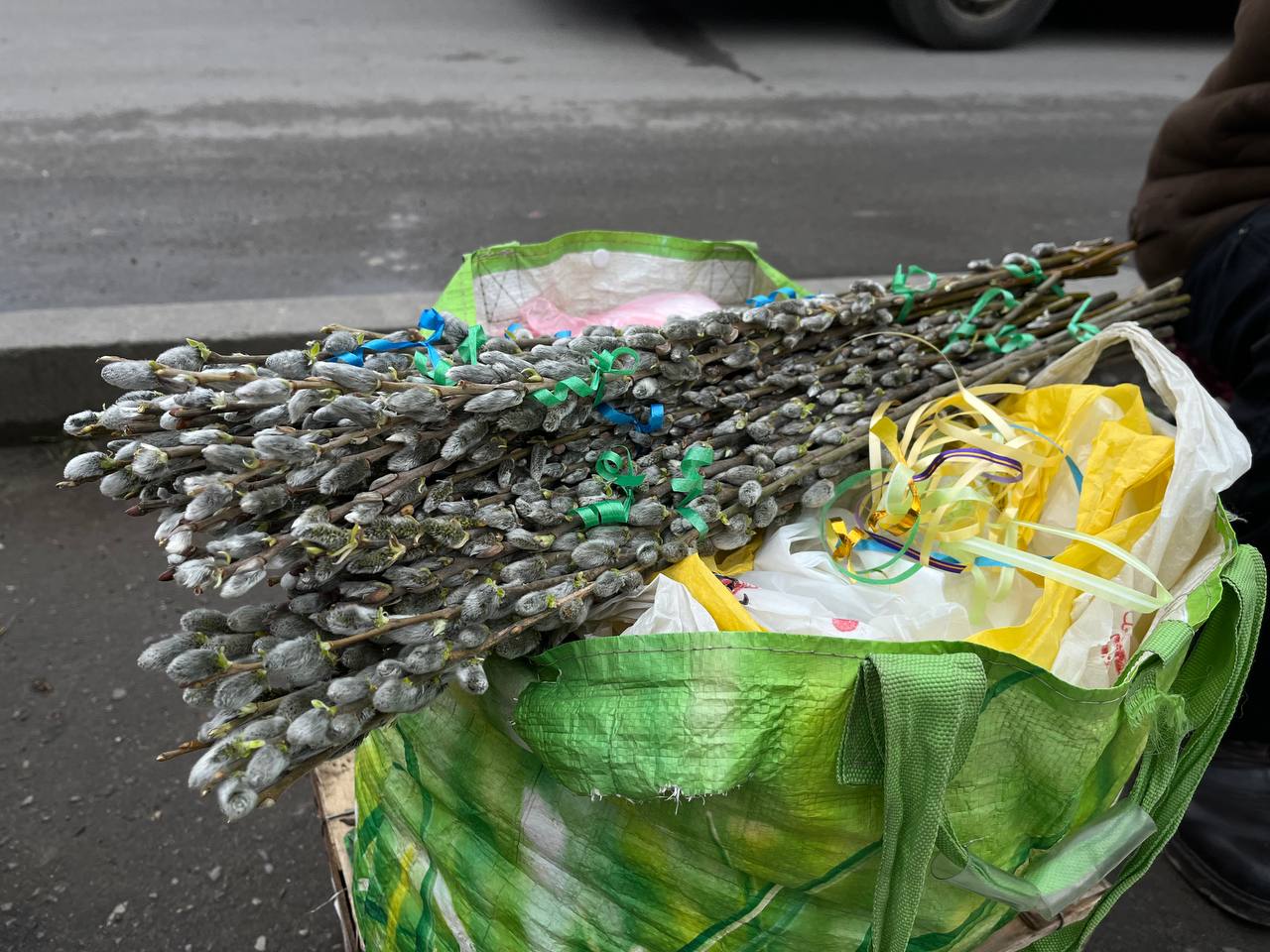 Новини Тернополя - фото з У Тернополі продають перші вербові котики: де придбати та скільки коштують