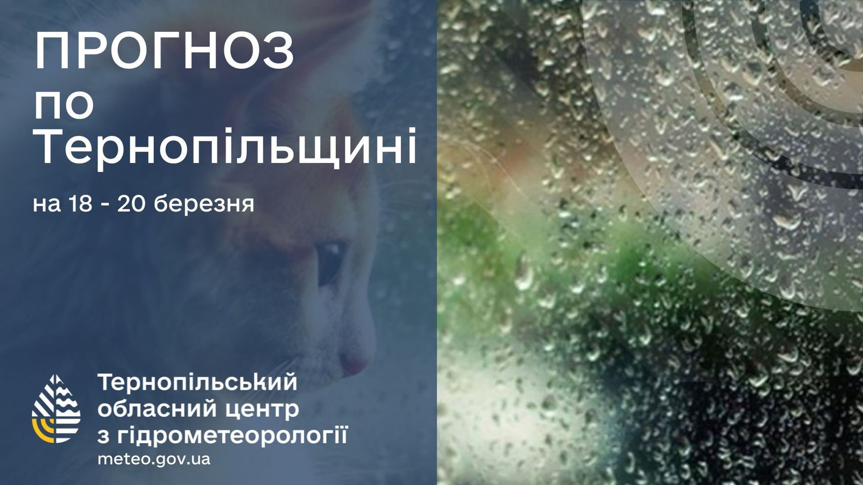 На зображенні може бути: текст