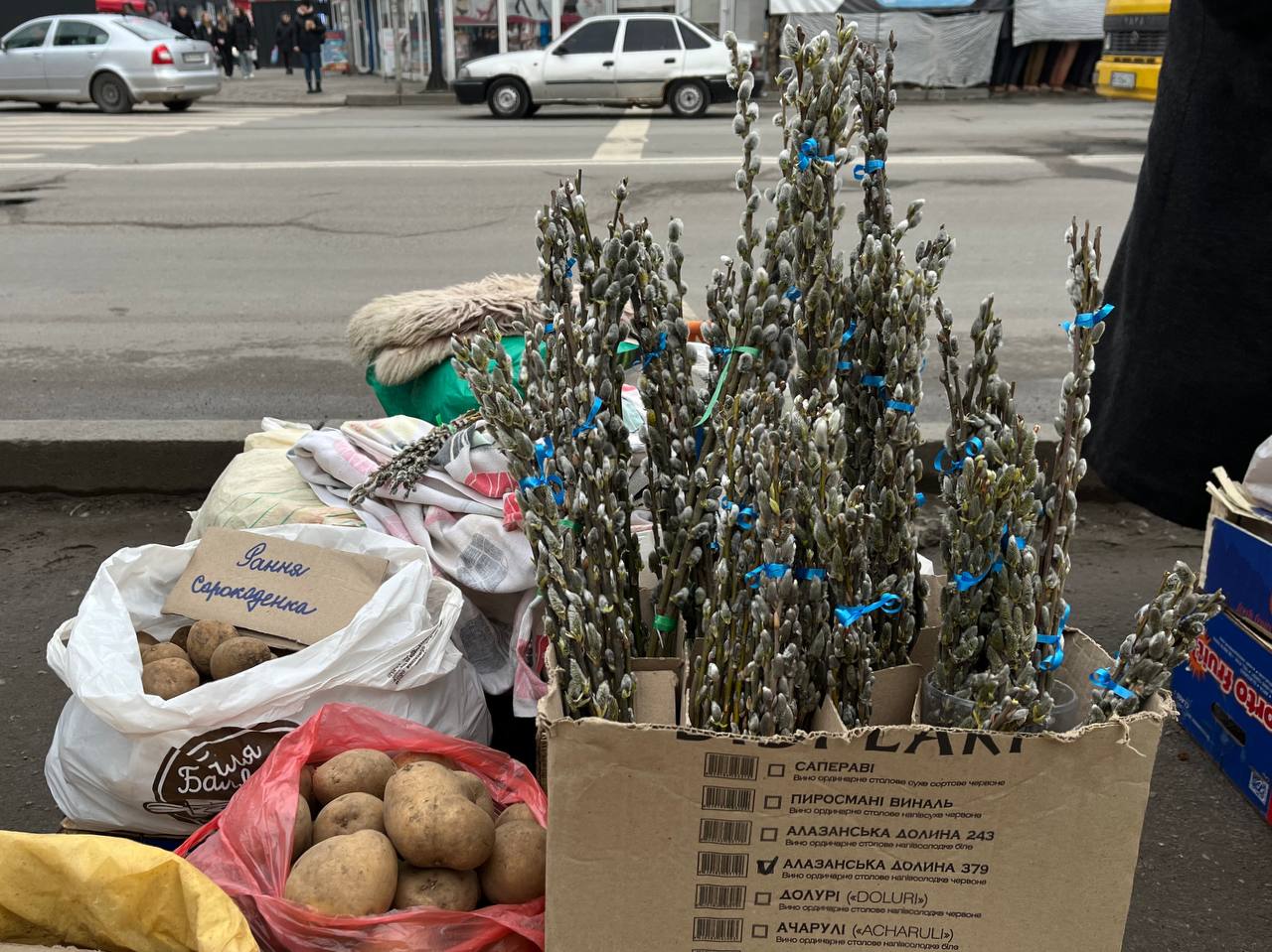 Новини Тернополя - фото з У Тернополі продають перші вербові котики: де придбати та скільки коштують