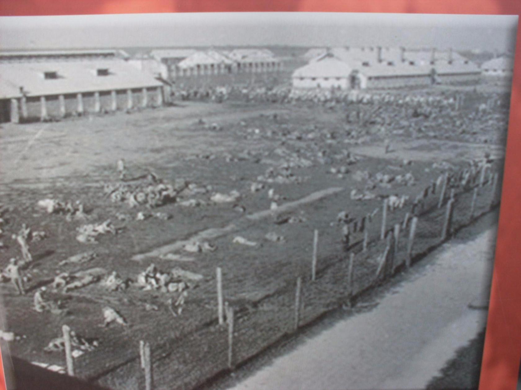 Новини Вінниці - фото з До дня звільнення Вінниці від нацистів. Розповідаємо трагічні історії за 1003 дні в окупації