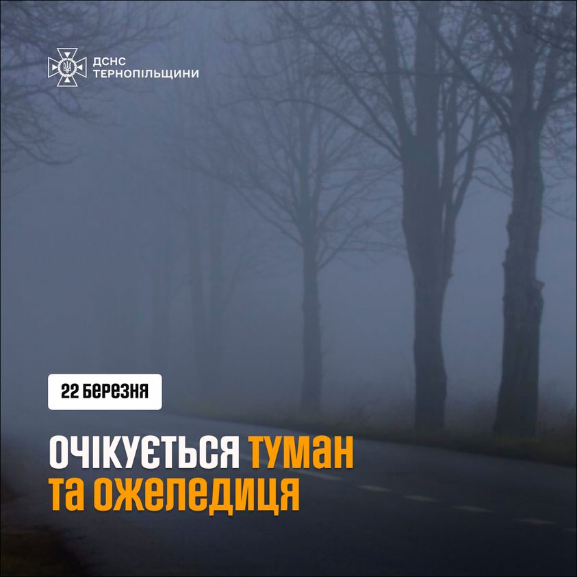 На зображенні може бути: текст