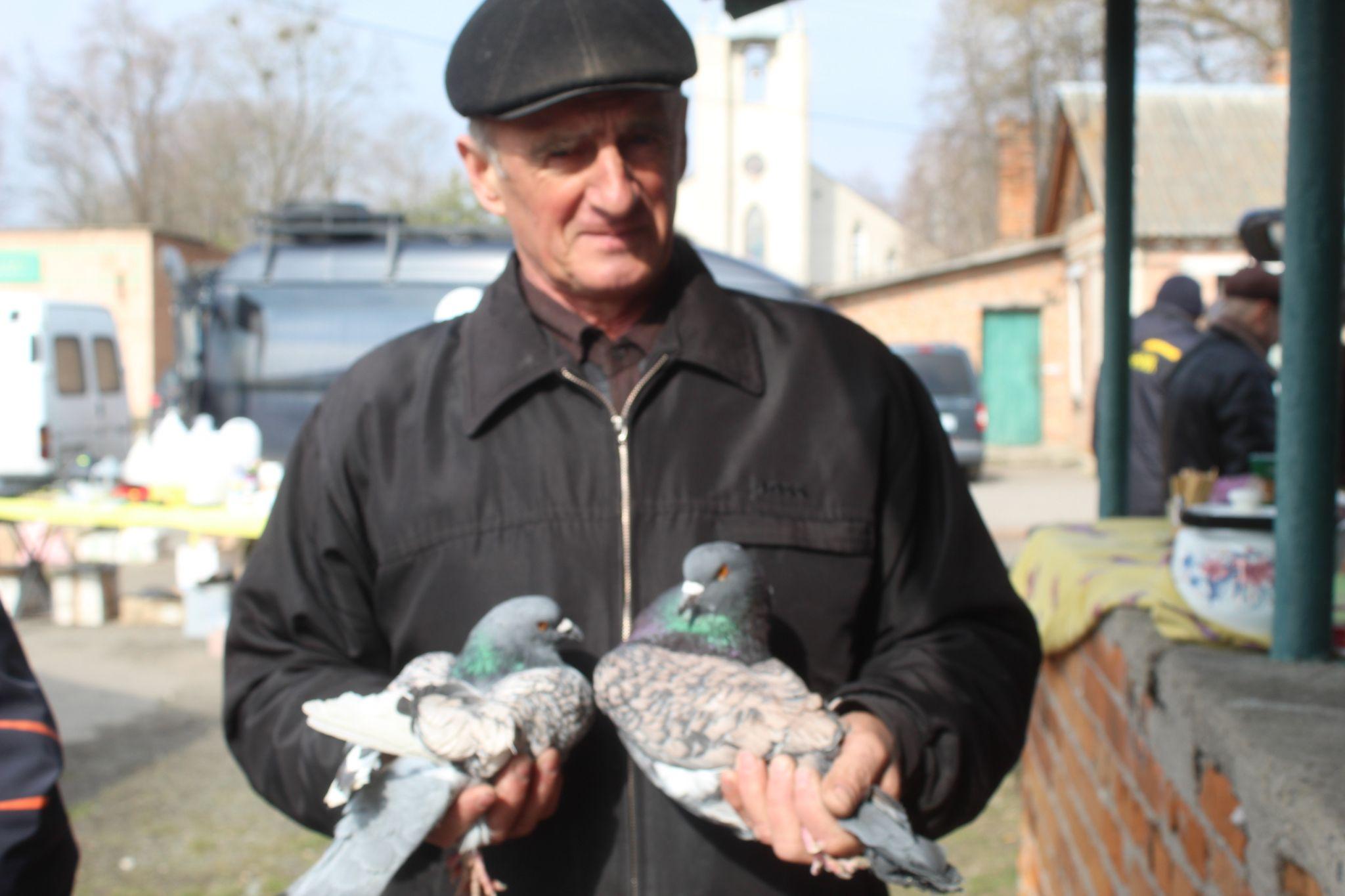 Новини Козятина - фото з «Куплю шпіца і спати з ним в хліві буду, у мого зятя на все живе алергія»