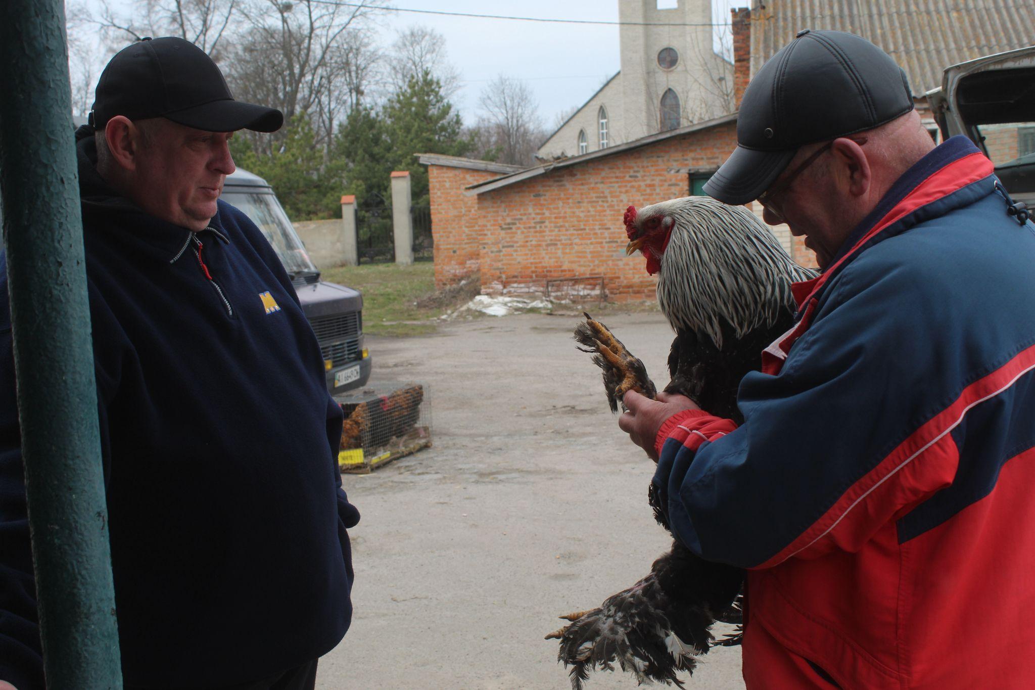 Новини Козятина - фото з «Куплю шпіца і спати з ним в хліві буду, у мого зятя на все живе алергія»
