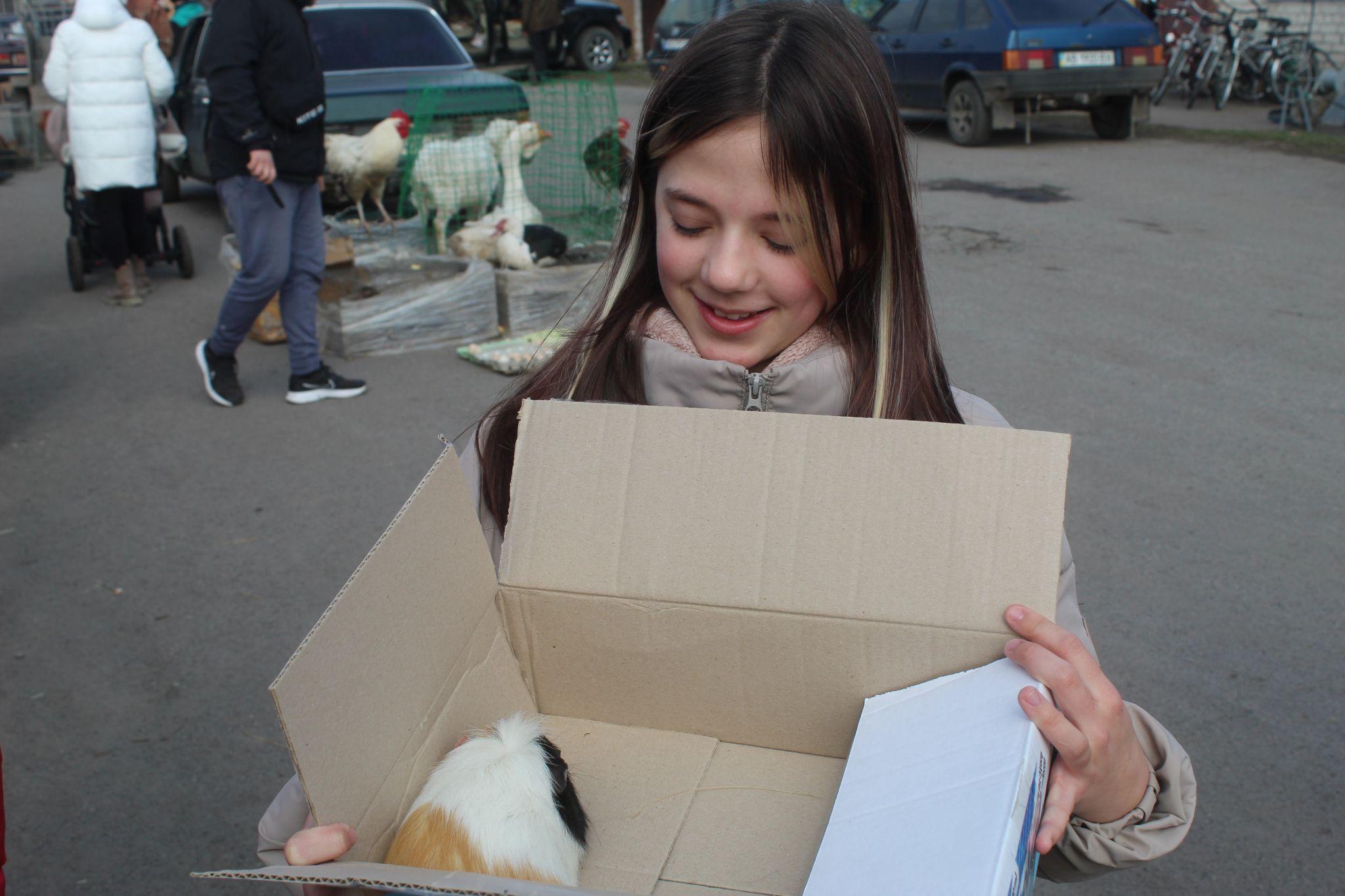 Новини Козятина - фото з «Куплю шпіца і спати з ним в хліві буду, у мого зятя на все живе алергія»