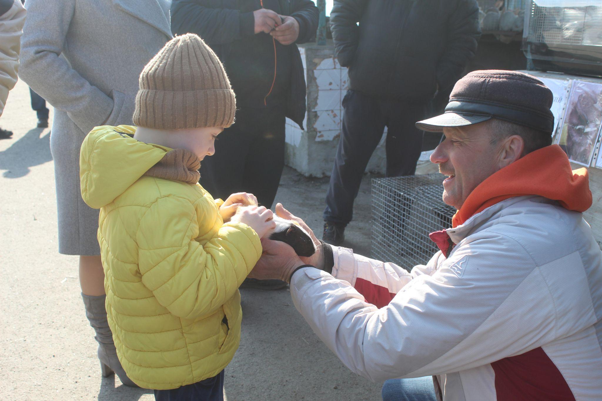 Новини Козятина - фото з «Куплю шпіца і спати з ним в хліві буду, у мого зятя на все живе алергія»