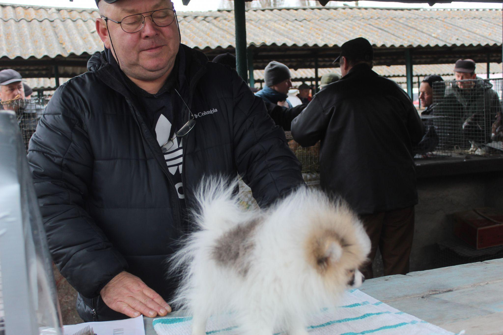 Новини Козятина - фото з «Куплю шпіца і спати з ним в хліві буду, у мого зятя на все живе алергія»