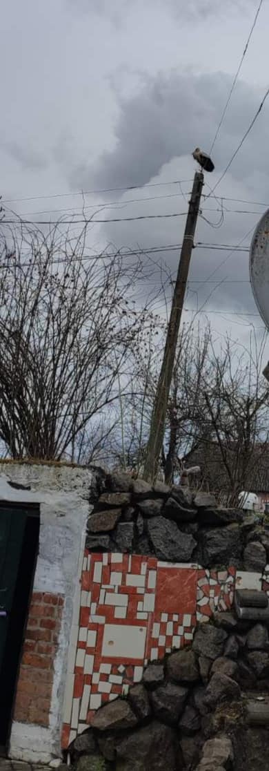 Новини Козятина - фото з Лелеки повернулися, а їхньої домівка немає — зруйнували