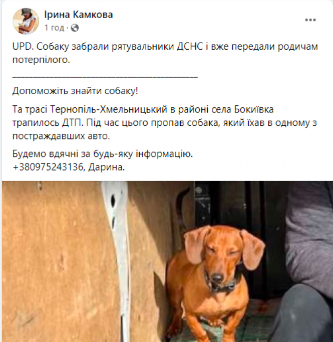 Новини Хмельницького - фото з У Хмельницькому районі зіткнулись два «Renault». Є постраждалий