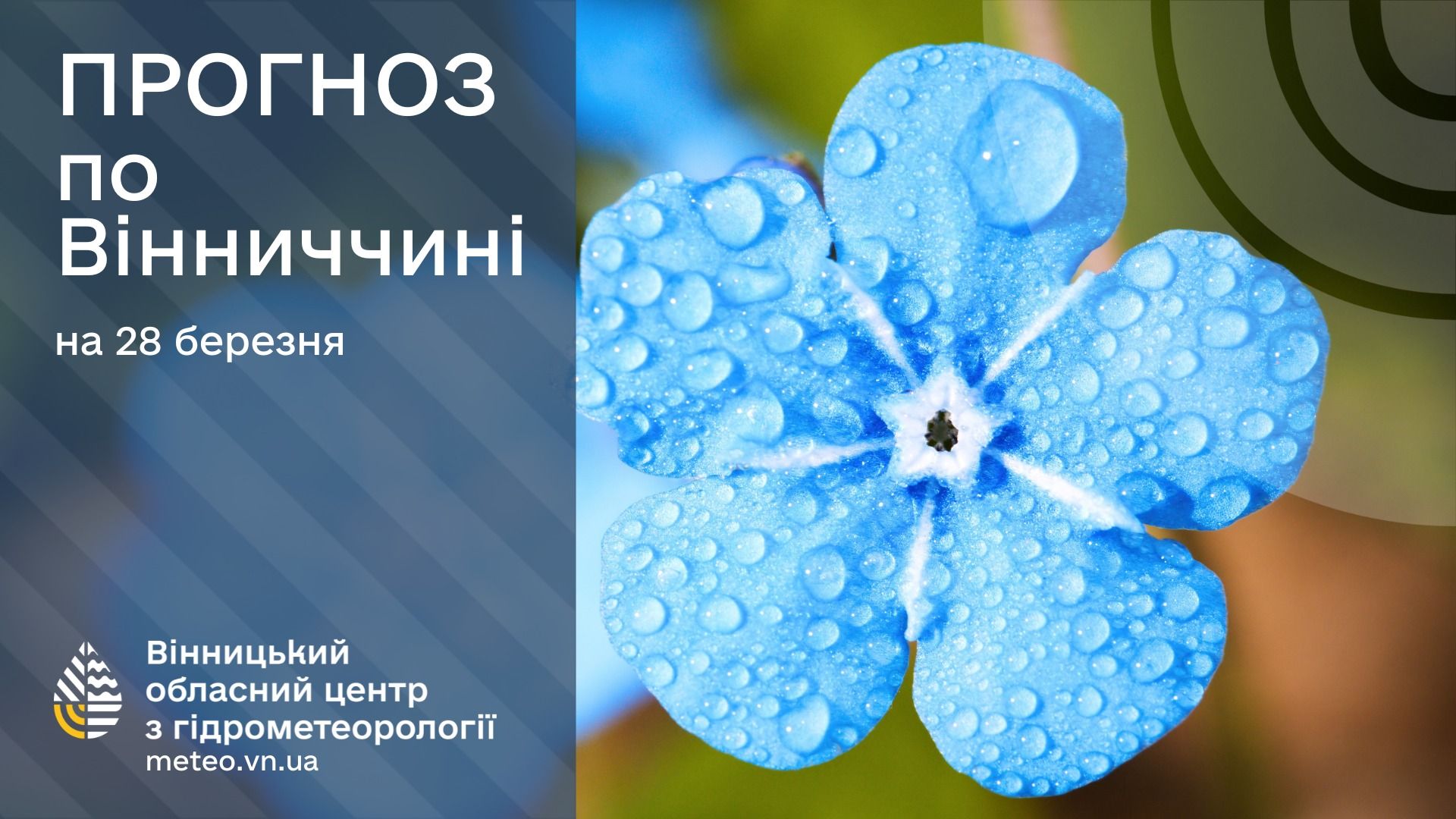 Новини Козятина - фото з Сьогодні в області через сильний вітер підвищений рівень небезпеки. Буде сухо та сонячно
