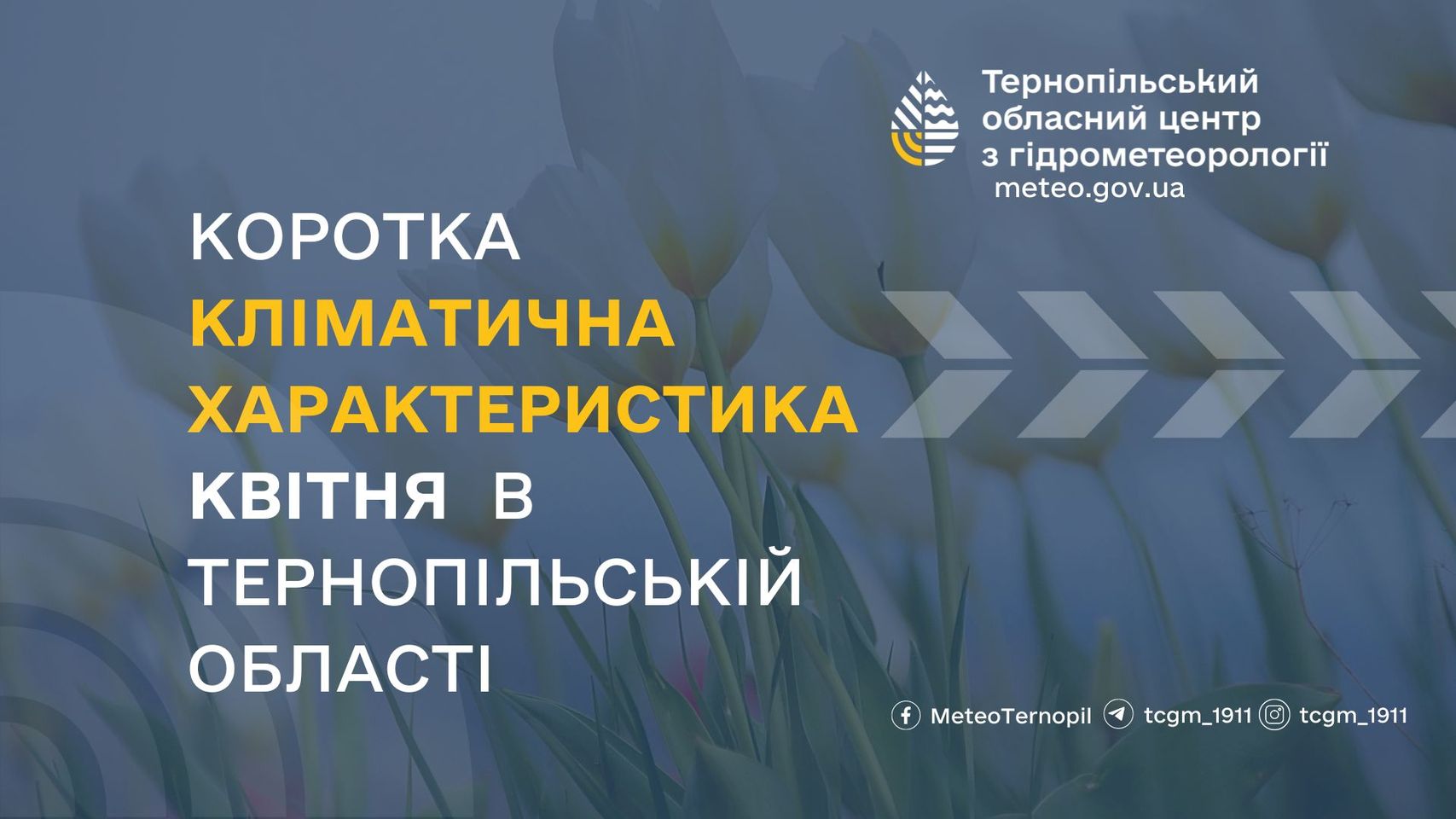 На зображенні може бути: текст