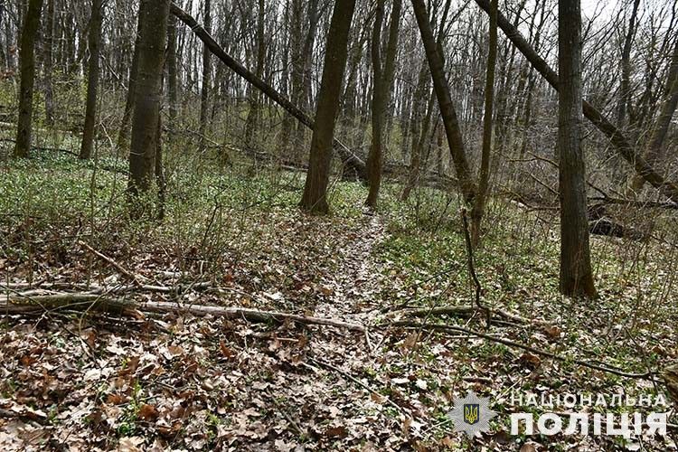 Новини Тернополя - фото з Біля Тернополя чоловік вчинив сексуальне насильство над жінкою і забрав гроші