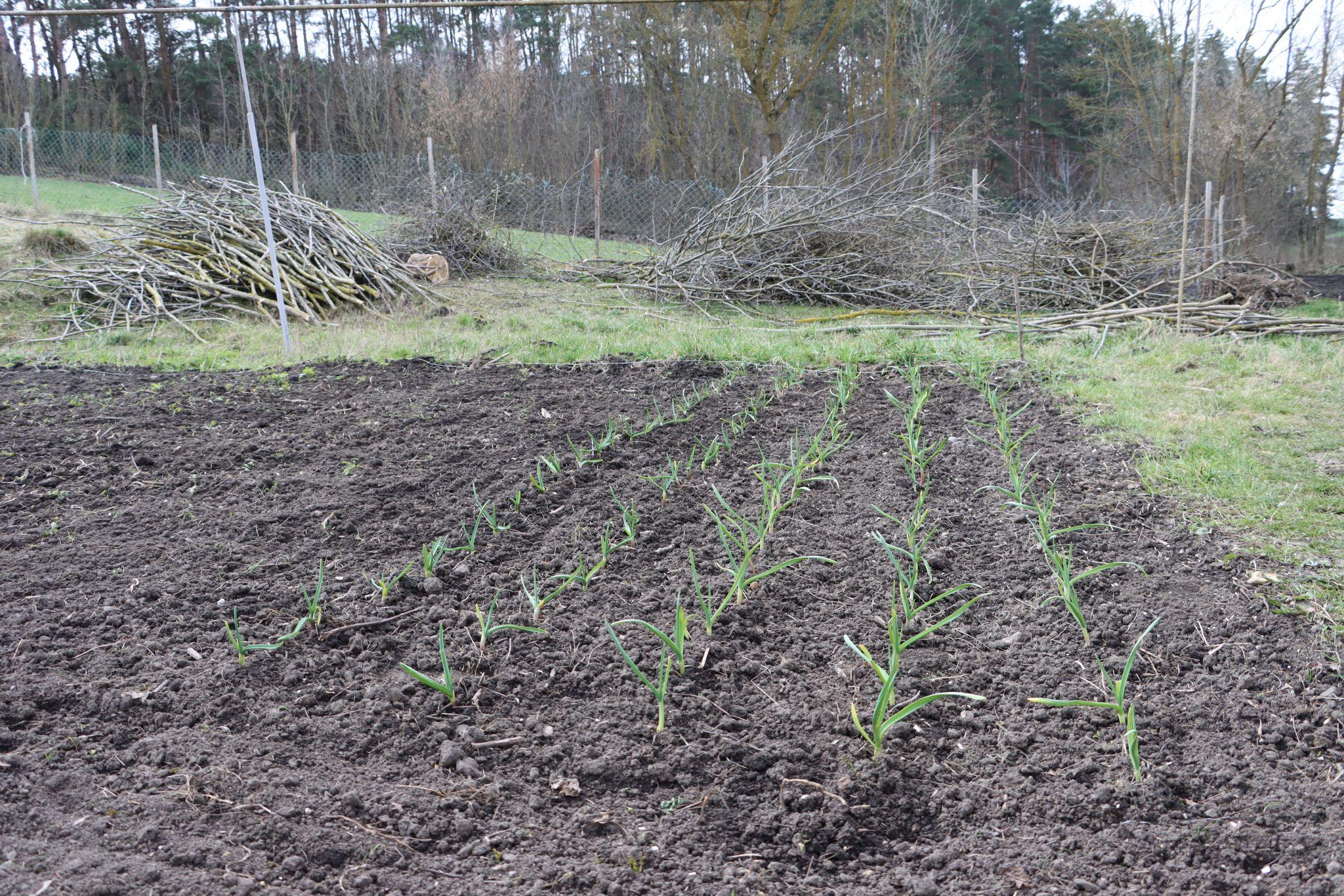 Новини Тернополя - фото з Як отець Філюк та мешканці села Шушківці відновили покинуті хати для переселенців. Репортаж