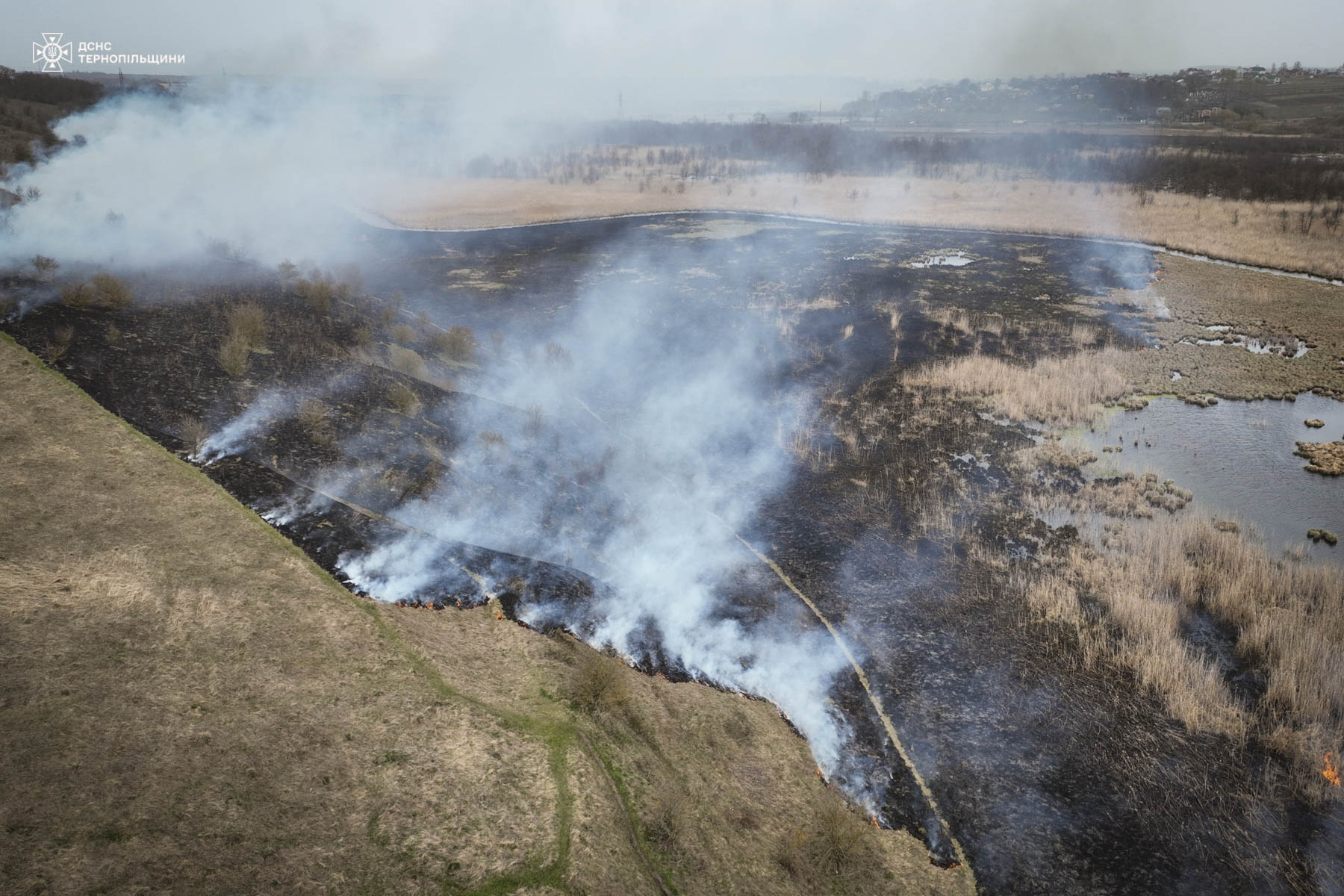 Новини Тернополя - фото з Неподалік Тернополя горів орнітологічний заказник