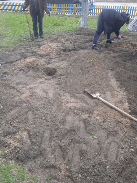 Новини Житомира - фото з У Житомирі активно стартувала весняна толока