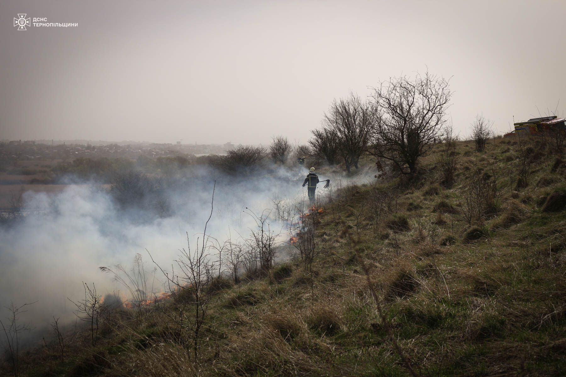 Новини Тернополя - фото з Неподалік Тернополя горів орнітологічний заказник