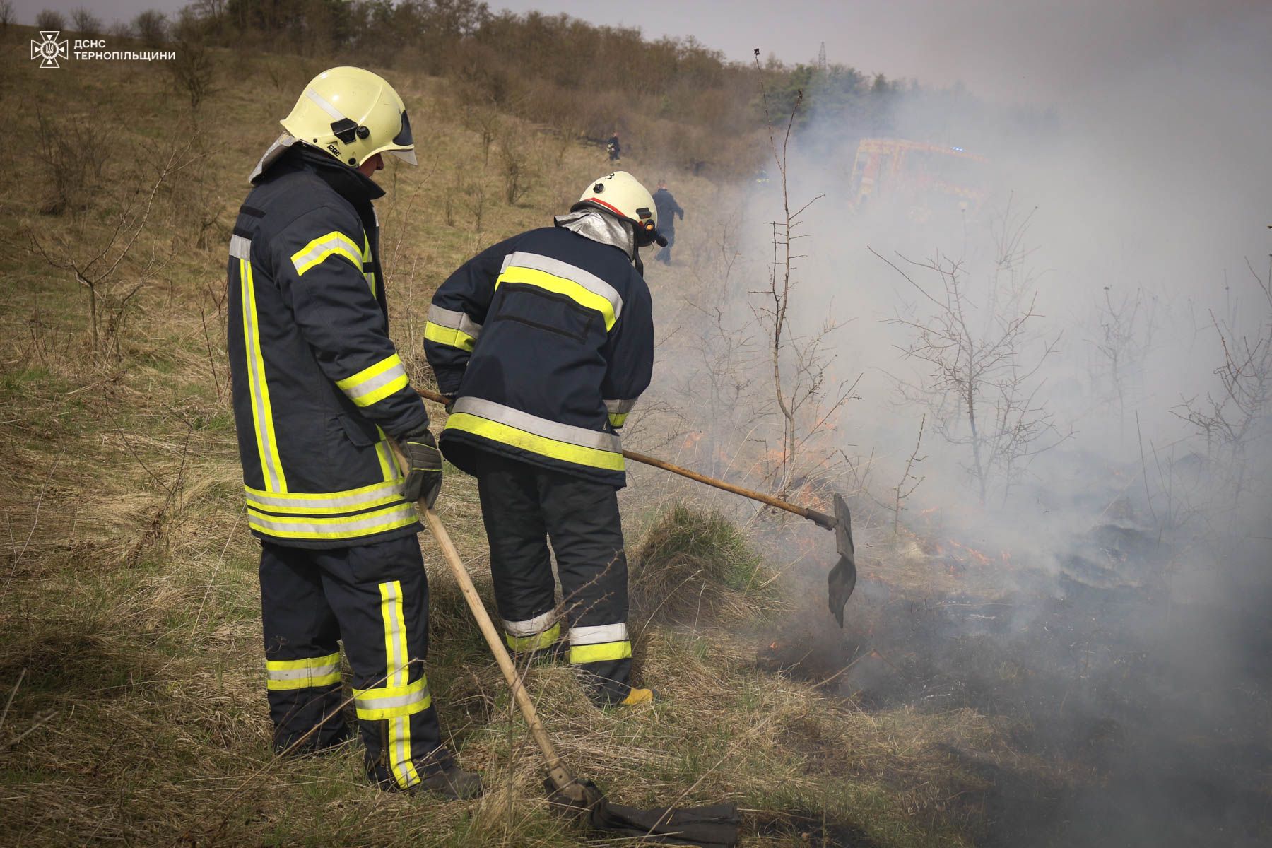 Новини Тернополя - фото з Неподалік Тернополя горів орнітологічний заказник