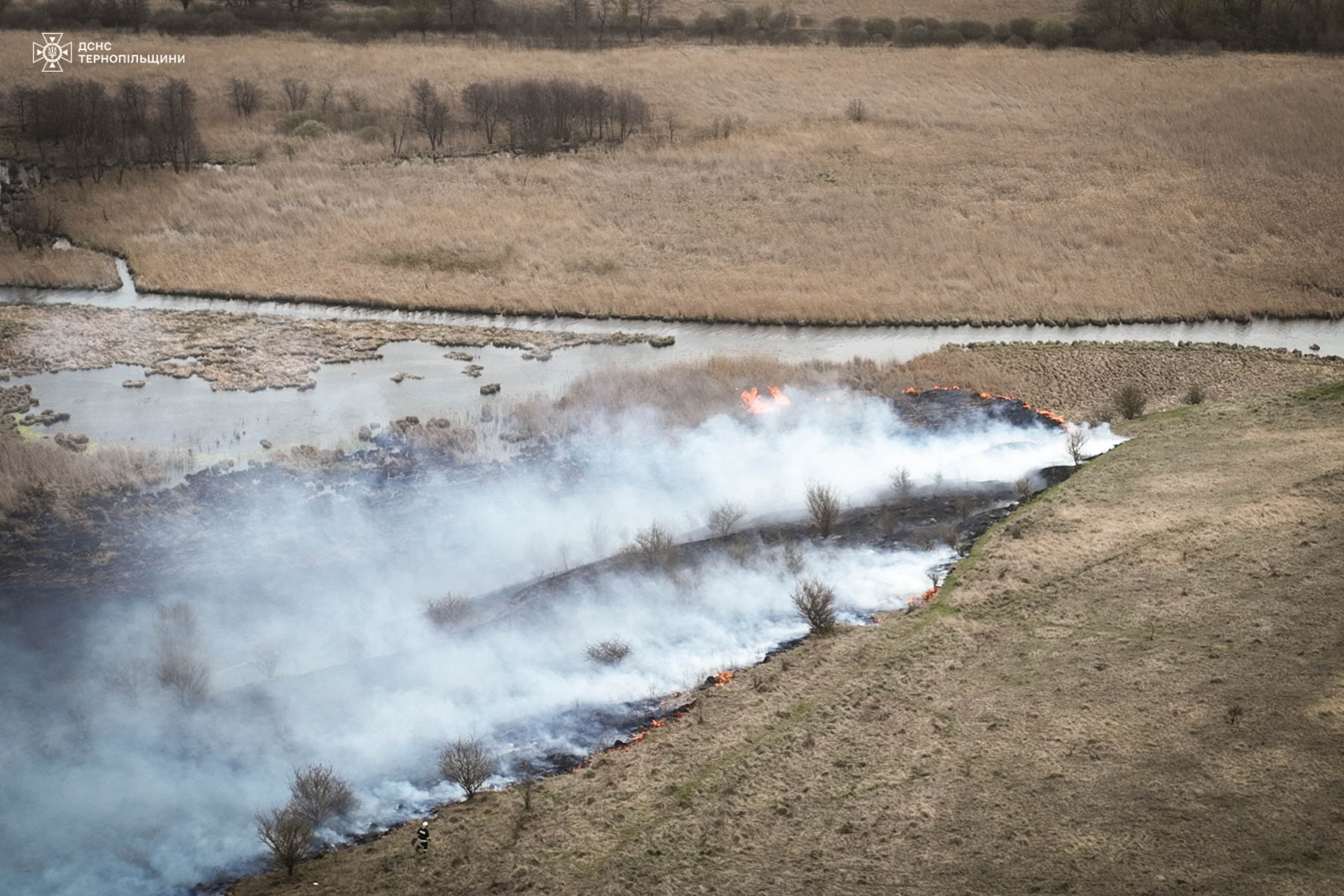 Новини Тернополя - фото з Неподалік Тернополя горів орнітологічний заказник
