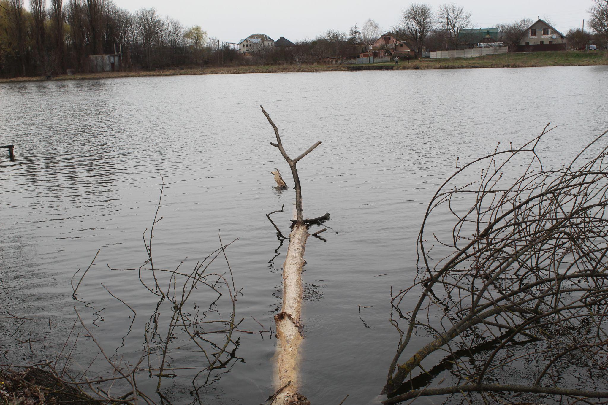 Новини Козятина - фото з Діти в халабуді, бабуся Франя та революція благоустрою на Кондрацького