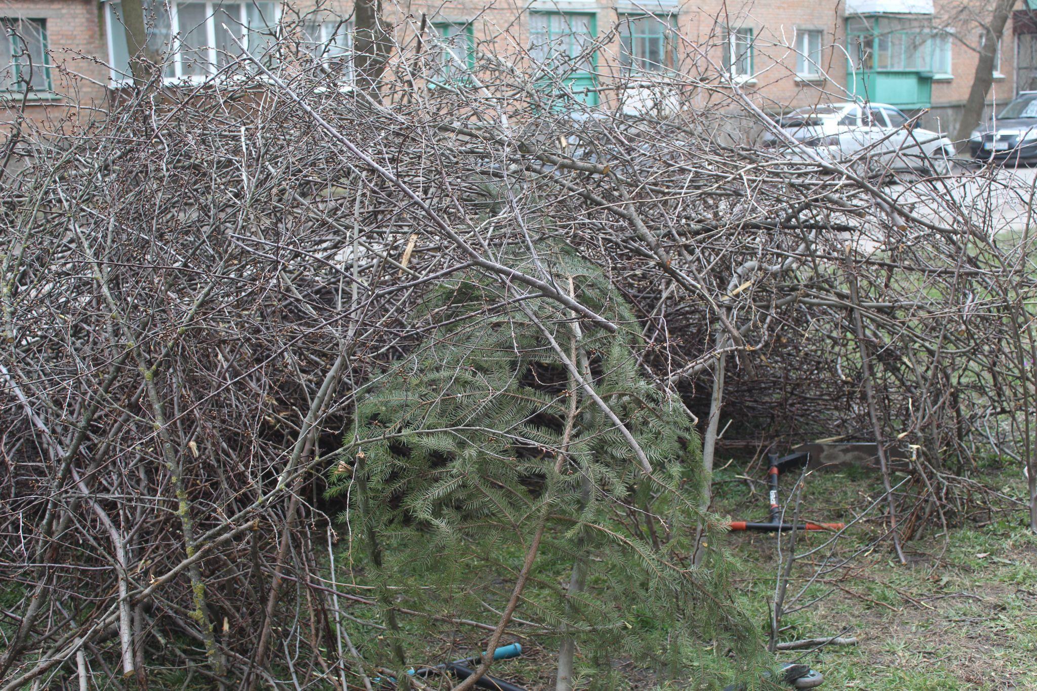 Новини Козятина - фото з Діти в халабуді, бабуся Франя та революція благоустрою на Кондрацького