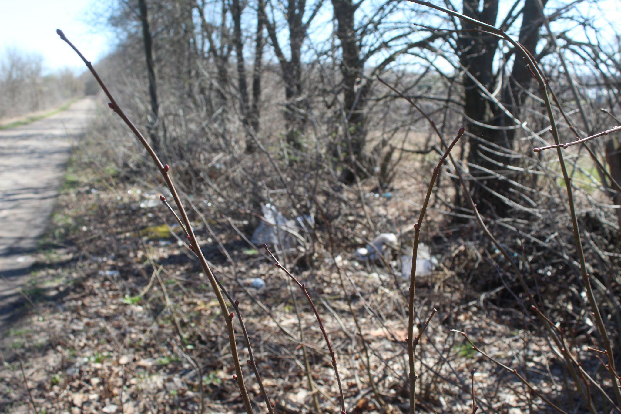 Новини Козятина - фото з Діти в халабуді, бабуся Франя та революція благоустрою на Кондрацького