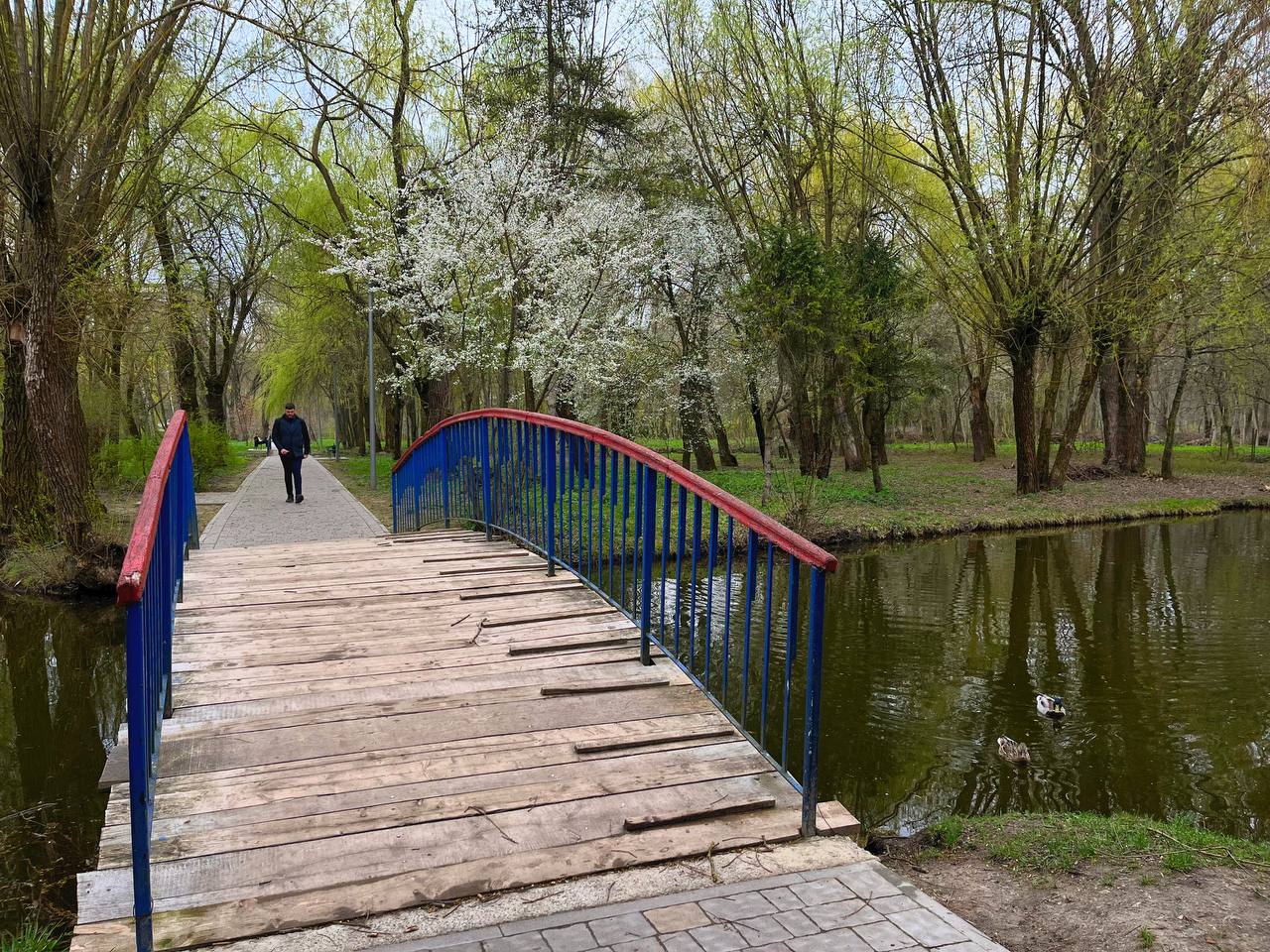 Новини Тернополя - фото з Заквітчаний Тернопіль: де у місті можна зробити весняні світлини