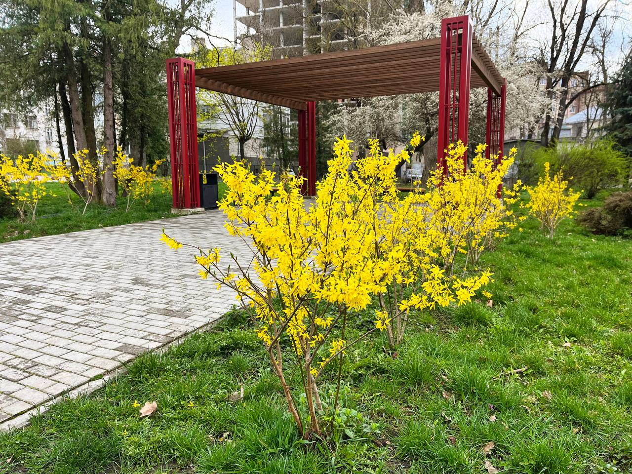Новини Тернополя - фото з Заквітчаний Тернопіль: де у місті можна зробити весняні світлини
