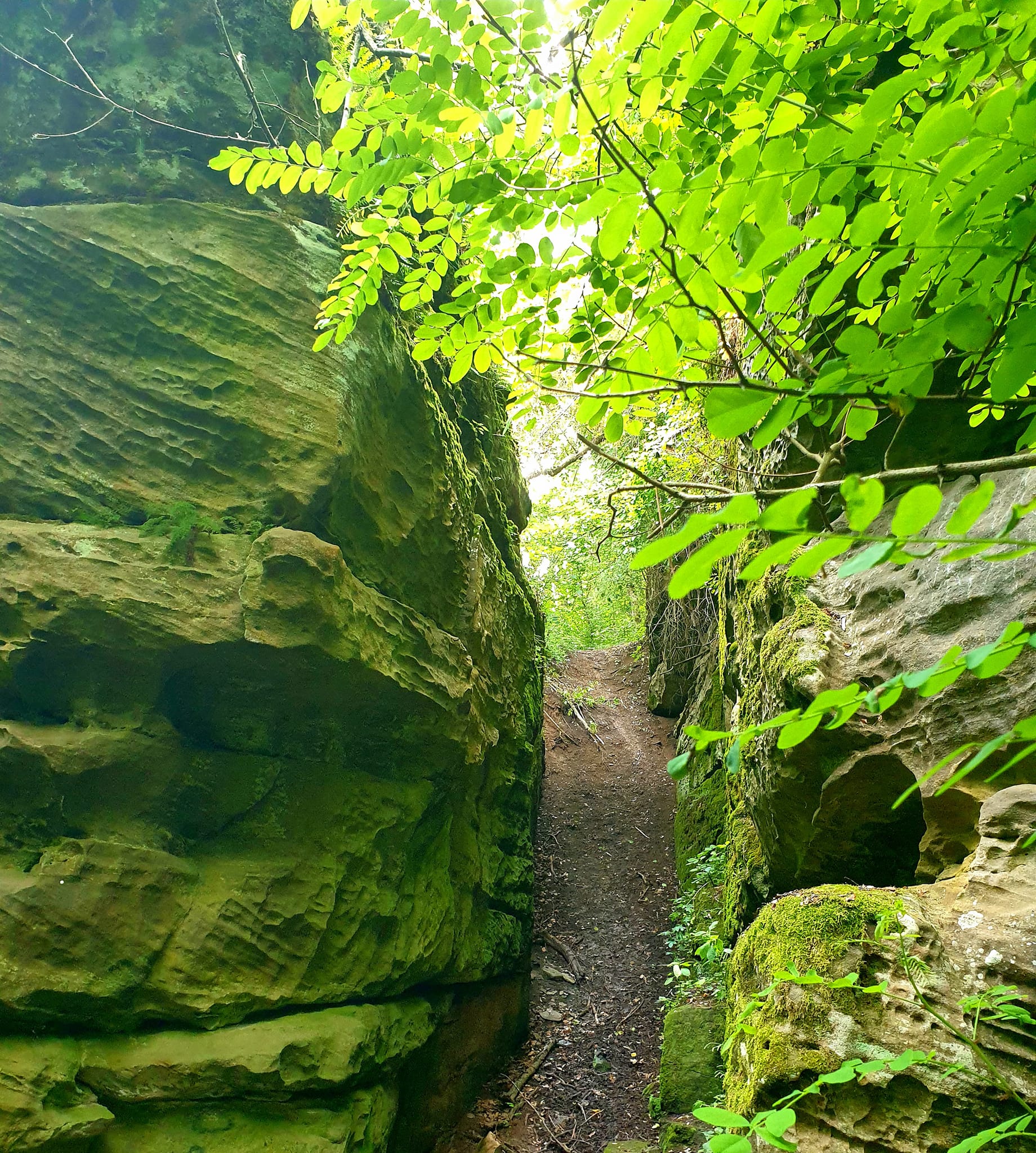 Новини Вінниці - фото з Прокуратура зацікавилася продажем історичної гори у Буші. Чи можливе скасування торгів?