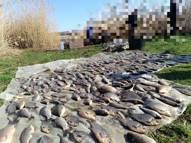 Новини Вінниці - фото з На Вінниччині викрили браконьєрів, які виловили риби на понад мільйон гривень