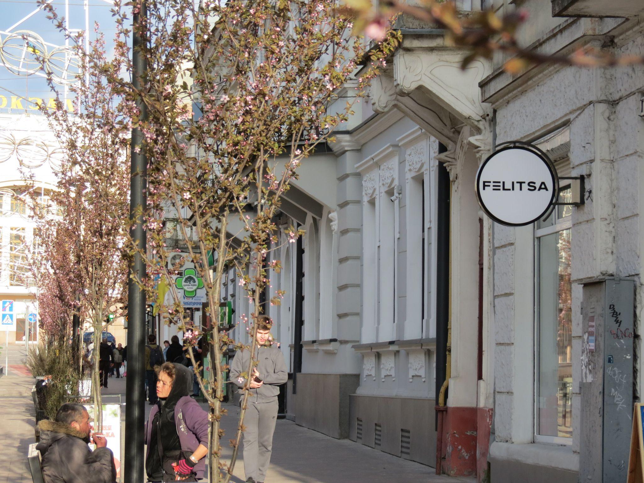 Новини Тернополя - фото з На вулиці Чорновола вперше зацвіли декоративні сливи: дивіться фото!