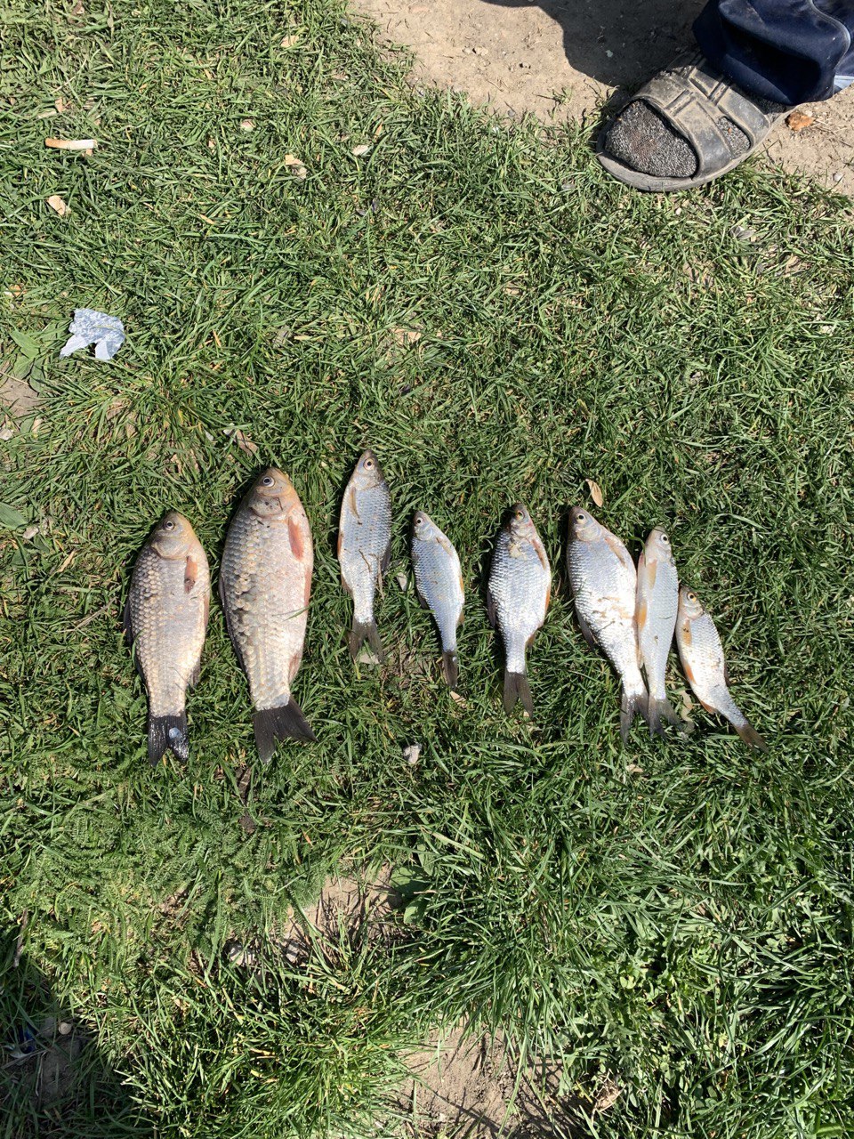 Новини Хмельницького - фото з Збитків на понад 800 тисяч: на Південному бузі спіймали браконьєрів