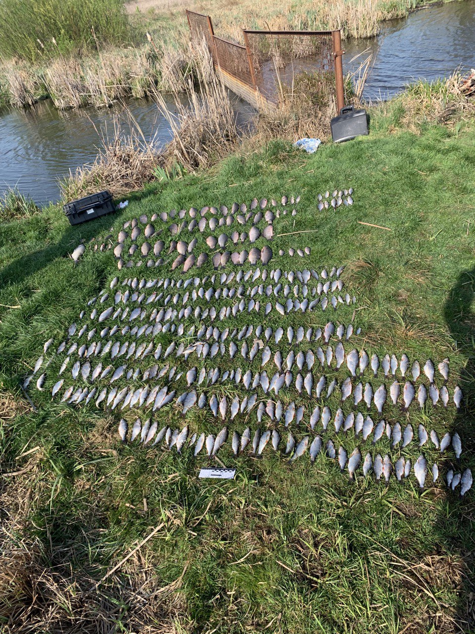 Новини Хмельницького - фото з Збитків на понад 800 тисяч: на Південному бузі спіймали браконьєрів