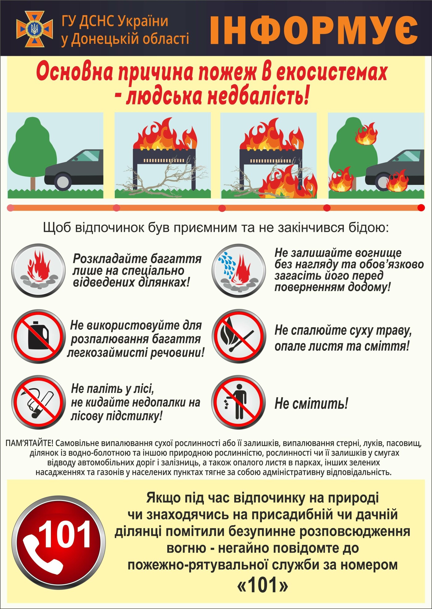 Як уникнути пожеж у лісі | Лісівник