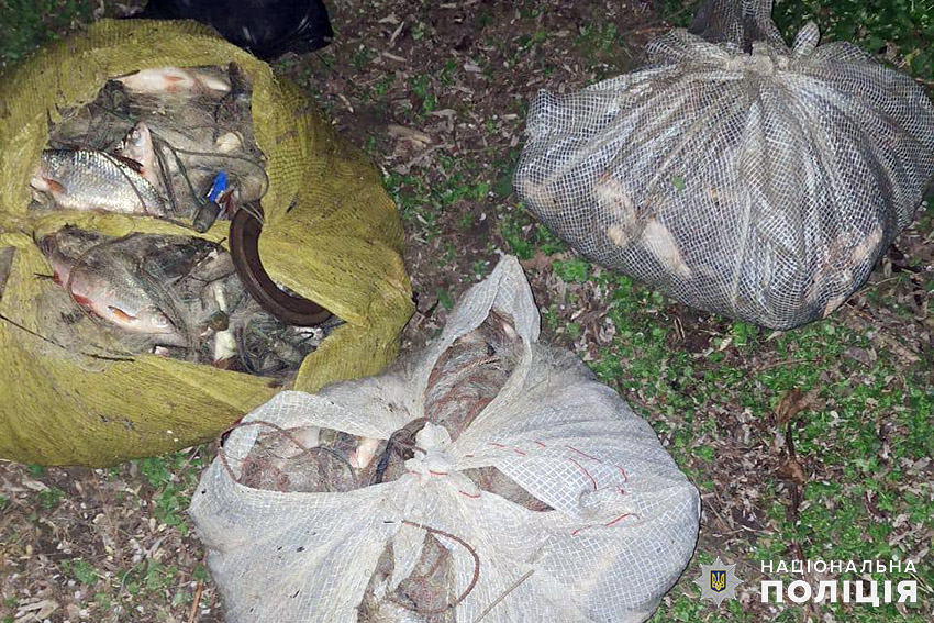 Новини Хмельницького - фото з Наловили риби на мільйон гривень: на Хмельниччині затримали браконьєрів