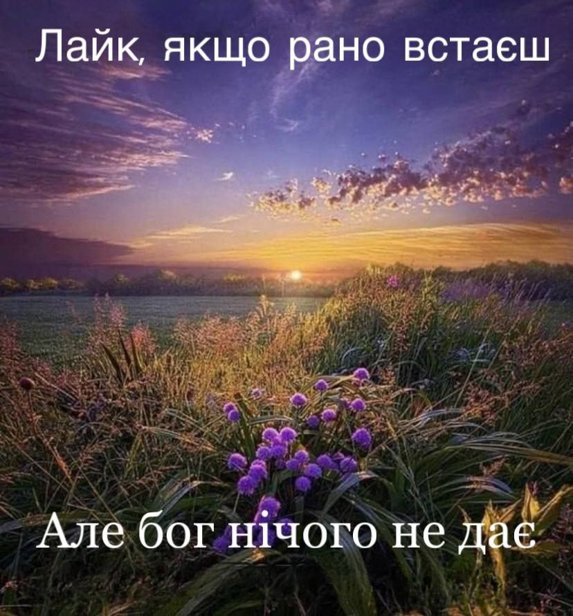 Новини Вінниці - фото з Щоб не плакати, ми сміялись: добірка нових мемів про війну