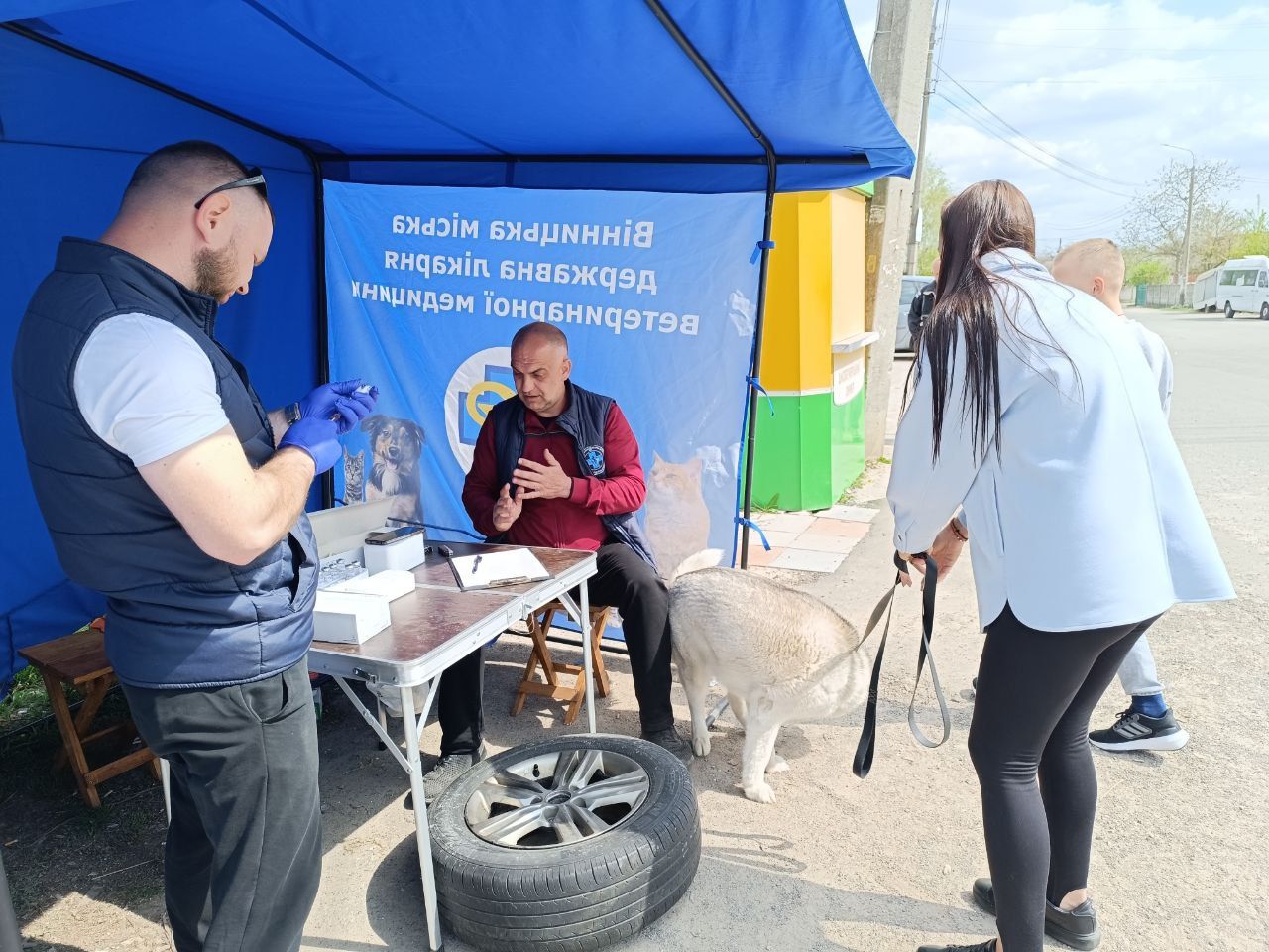 Новини Вінниці - фото з Тільки на Бучмах вакцинували понад 500 собак та котів. У Вінниці продовжують робити щеплення