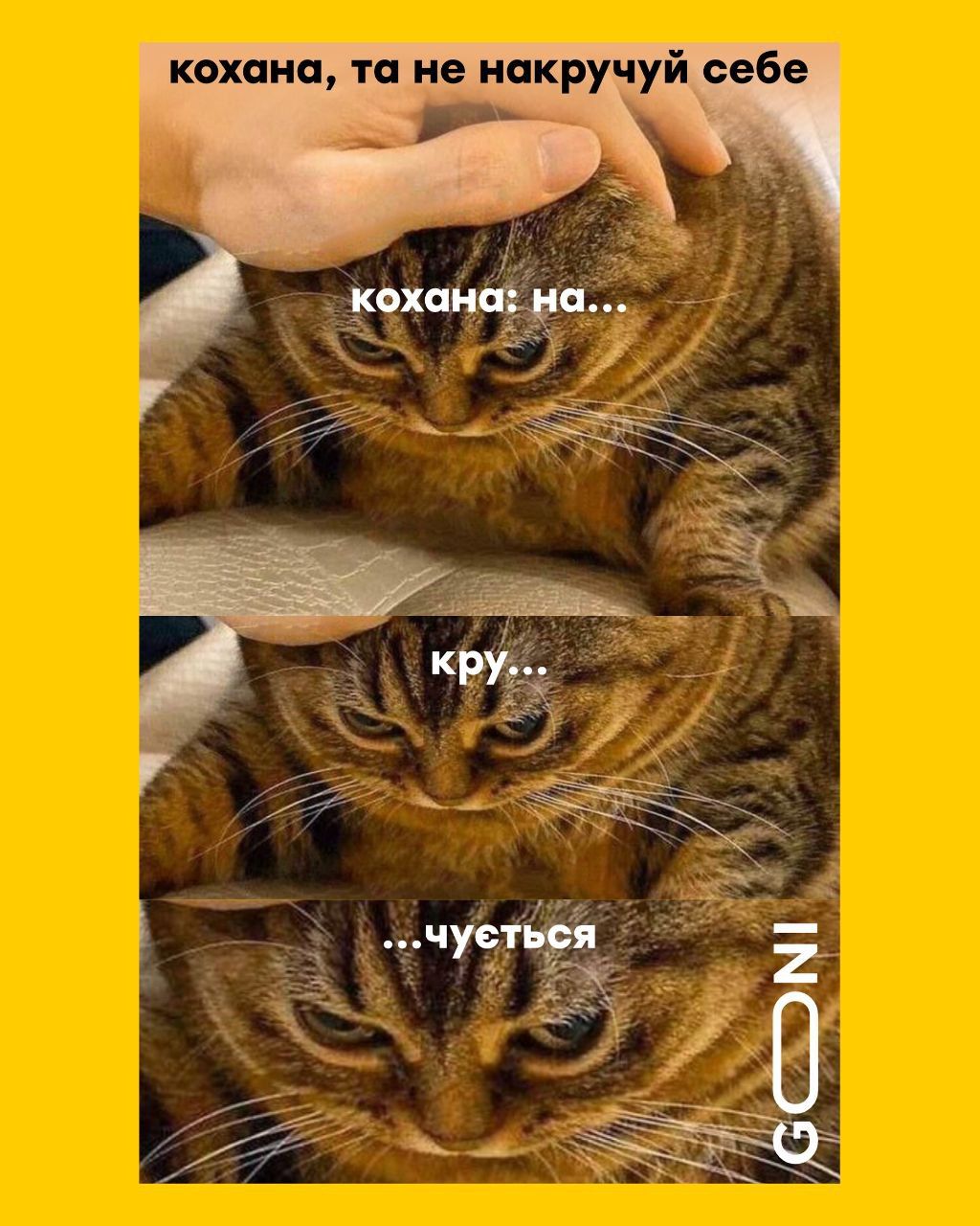 Новини Вінниці - фото з Щоб не плакати, ми сміялись: добірка нових мемів про війну