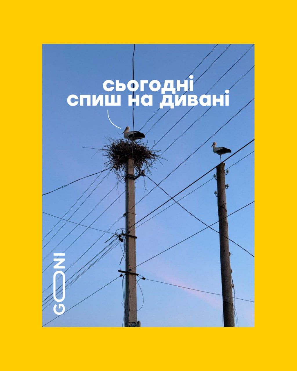 Новини Вінниці - фото з Щоб не плакати, ми сміялись: добірка нових мемів про війну