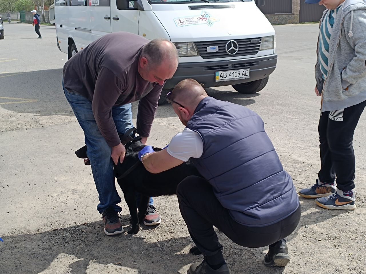 Новини Вінниці - фото з Тільки на Бучмах вакцинували понад 500 собак та котів. У Вінниці продовжують робити щеплення