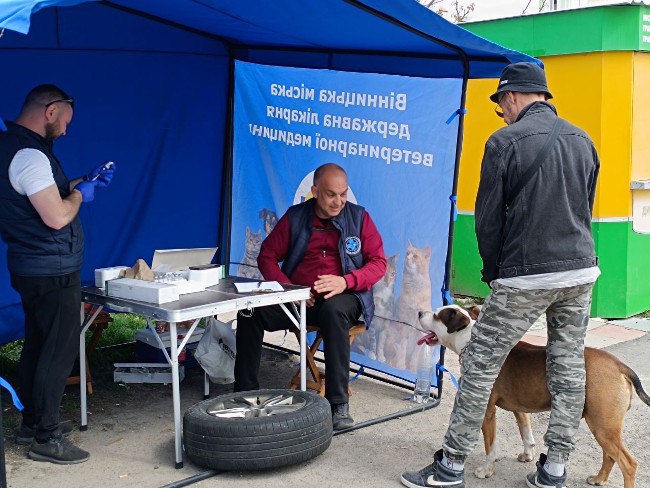 Новини Вінниці - фото з Тільки на Бучмах вакцинували понад 500 собак та котів. У Вінниці продовжують робити щеплення