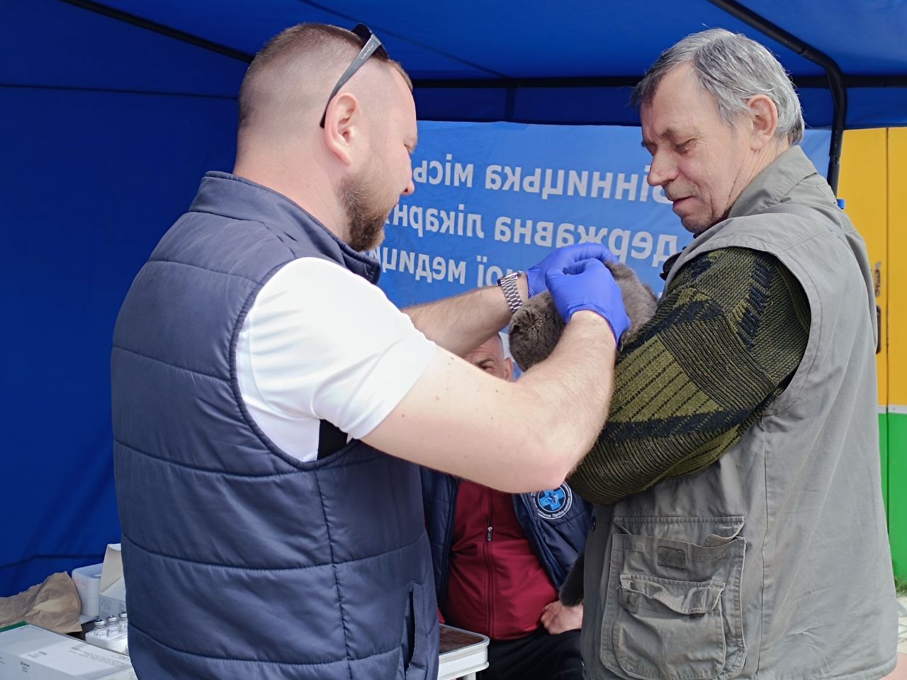 Новини Вінниці - фото з Тільки на Бучмах вакцинували понад 500 собак та котів. У Вінниці продовжують робити щеплення