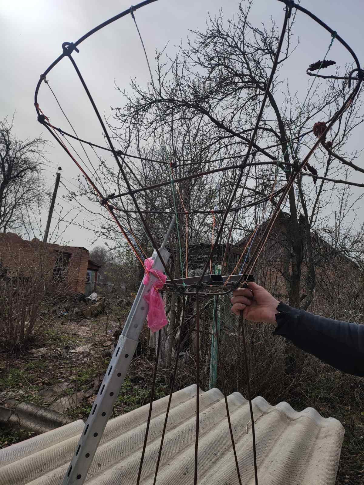 Самка лелека у новому гнізді висиджує потомство Тато боцюн носить їй ...