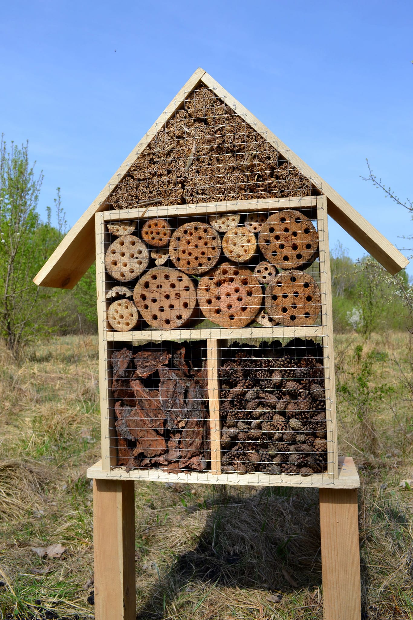 Нет описания фото.