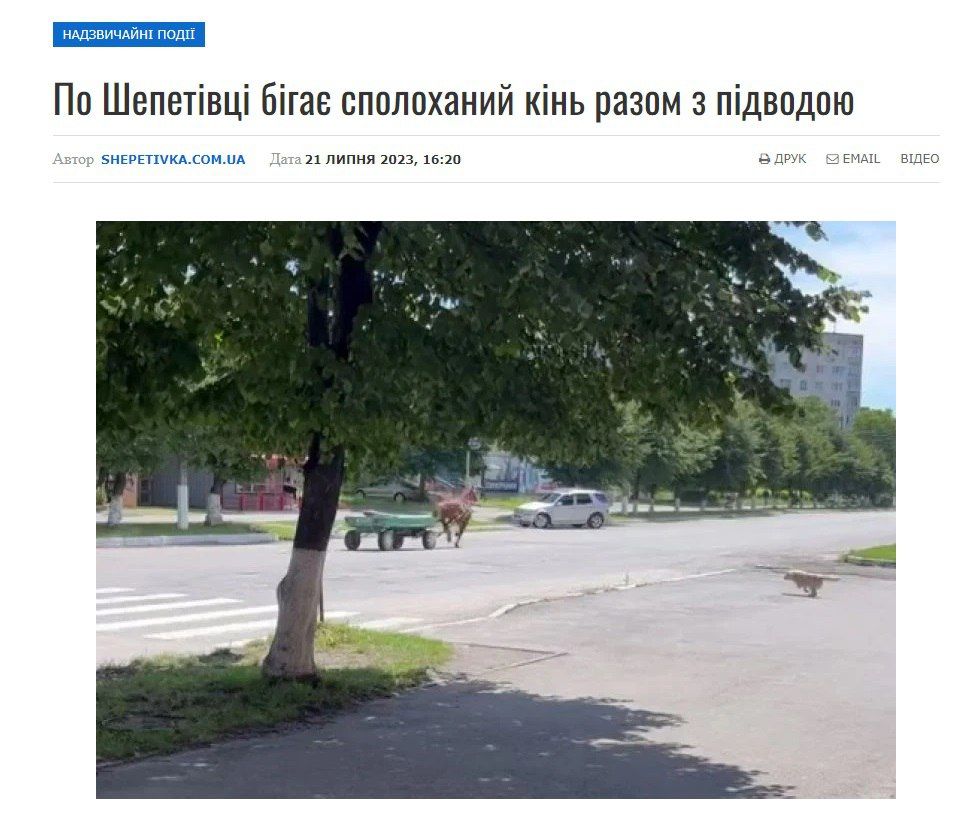 Новини Хмельницького - фото з Крадіжка страпона та бобер у фонтані. Підбірка незвичайних новин про Хмельниччину