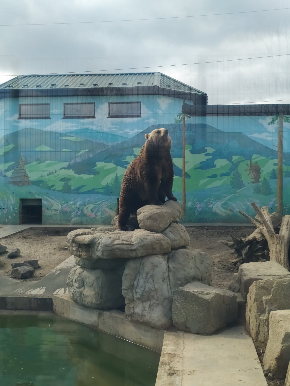 Новини Вінниці - фото з У Подільський зоопарк можна ходити безплатно. Хто має таку можливість та у які дні